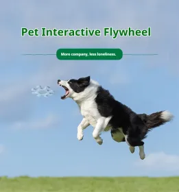 Pet Interactive Flywheel,Dog Frisbee Toy,Fun Interactions Buildstronger Bonds (Option: MacaroonGreen)